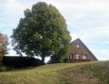 BridgeclubSH_121000_Schwarzwald_010e
