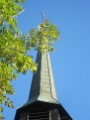 BridgeclubSH_121000_Schwarzwald_027e