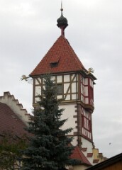 35