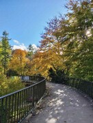 BridgeclubSH_211000_Schwarzwald_006e