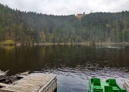 BridgeclubSH_211000_Schwarzwald_017e