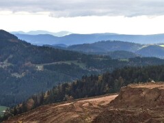 BridgeclubSH_211000_Schwarzwald_022e