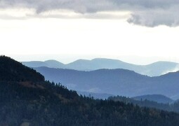 BridgeclubSH_211000_Schwarzwald_024e