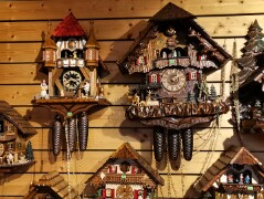 BridgeclubSH_211000_Schwarzwald_028e