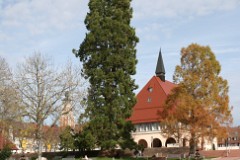 BridgeclubSH_221000_Schwarzwald_014e