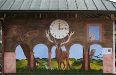 BridgeclubSH_221000_Schwarzwald_028e