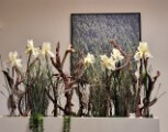 BridgeclubSH_231000_Schwarzwald_013e