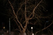 BridgeclubSH_141213_Weihnachtsbridge_006e
